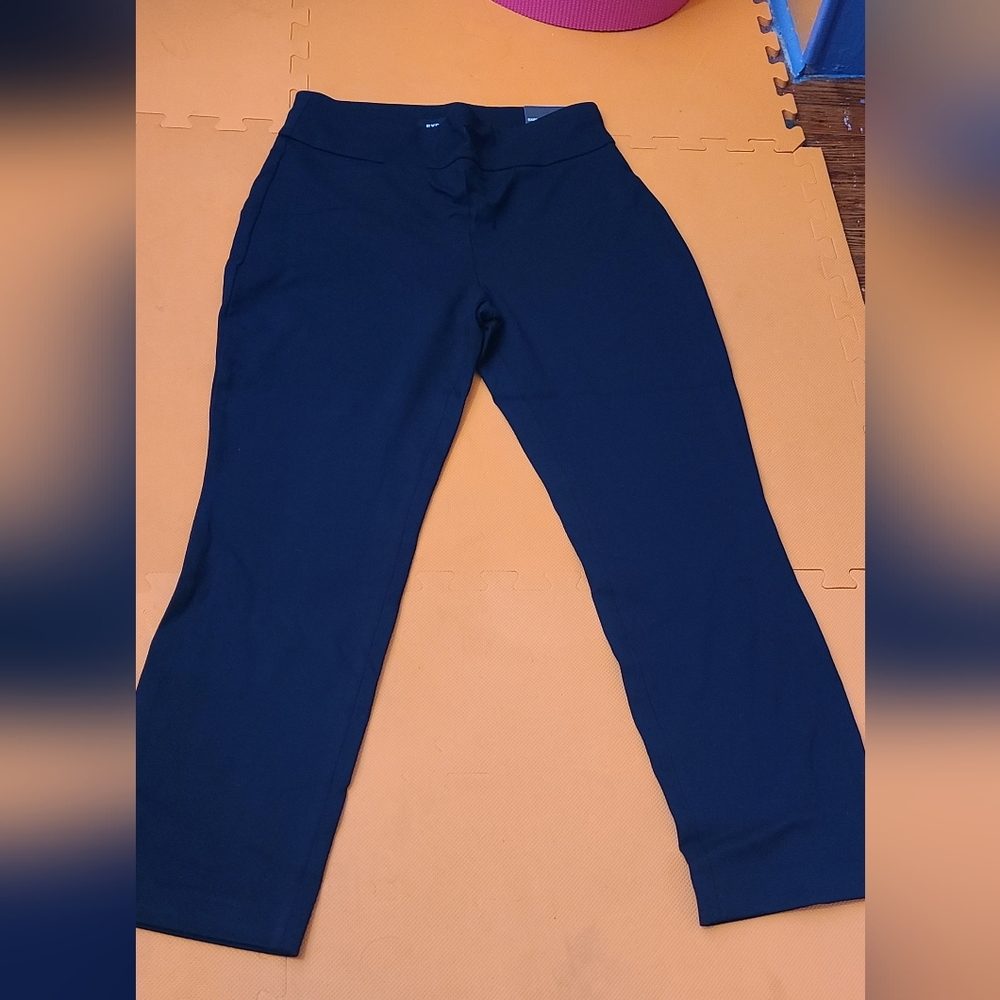 Express columnist Luxe comfort pants NEW!